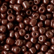 Glas rocailles kralen 6/0 (4mm) Coffee brown